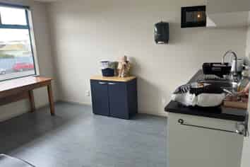 709B Tremaine Avenue Palmerston North for lease