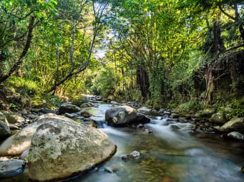 82 Upland Road, Aongatete