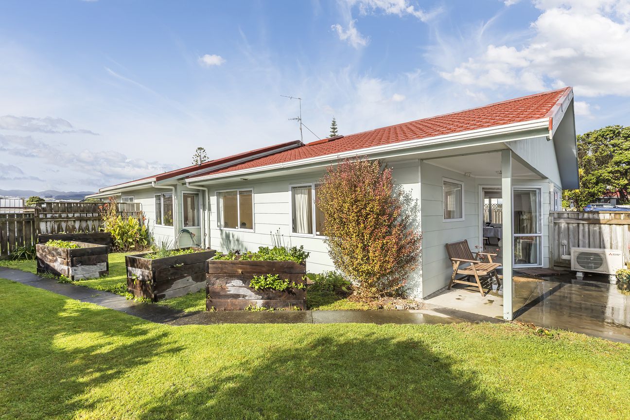 Opportunity Knocks in the Bay - Vista 2