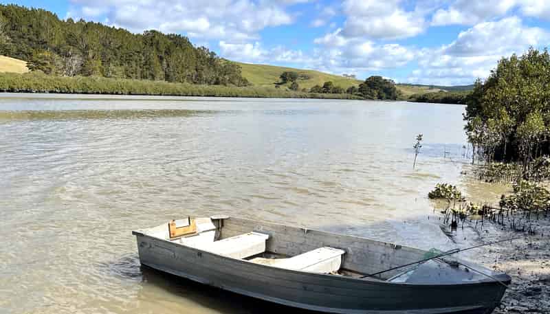 Lot 2 Waimanu Road, Wellsford