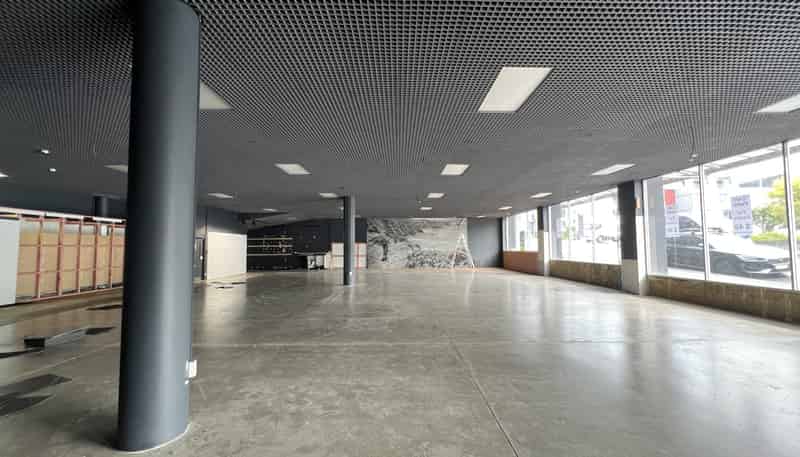 181 Vivian Street, Te Aro