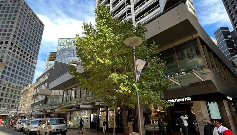 342 Lambton Quay, Wellington Central