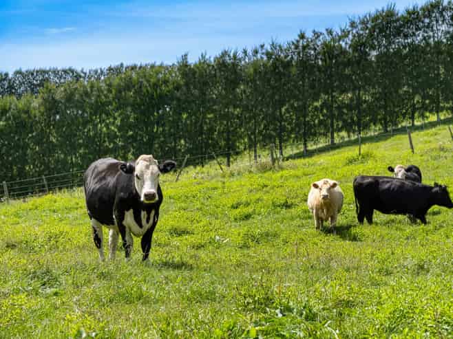 449 Crawford Road, Te Puna