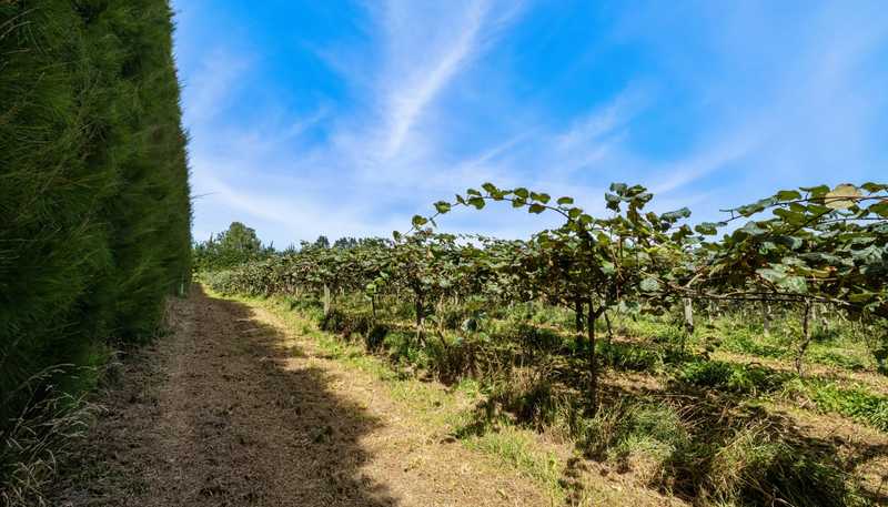 449 Crawford Road, Te Puna