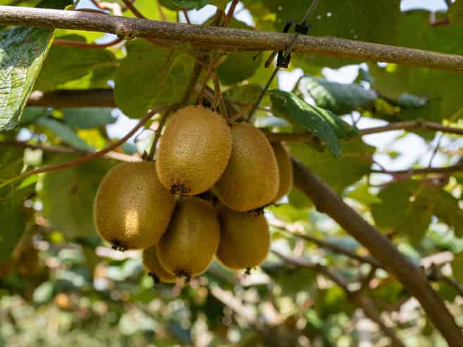 449 Crawford Road, Te Puna