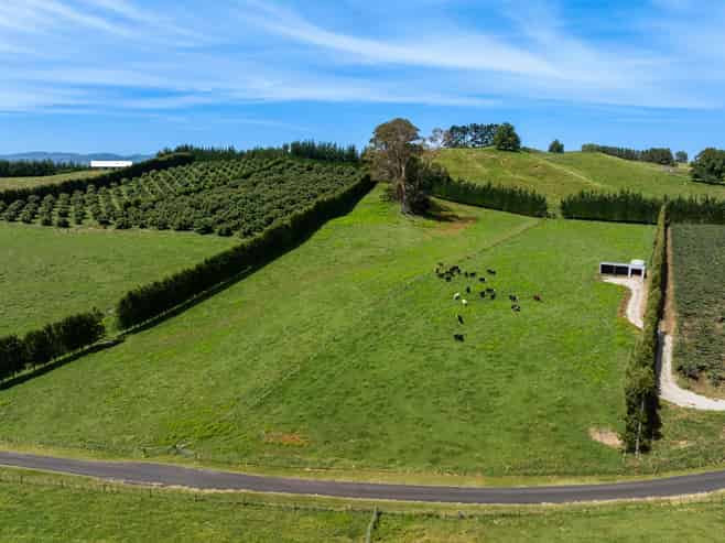 449 Crawford Road, Te Puna