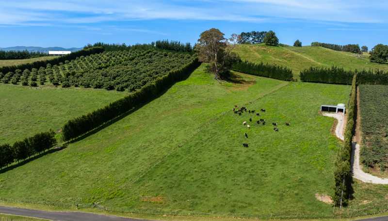 449 Crawford Road, Te Puna