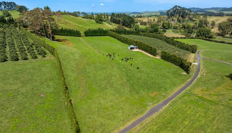 449 Crawford Road, Te Puna