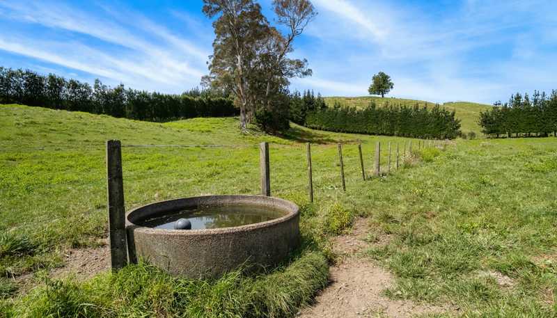 449 Crawford Road, Te Puna