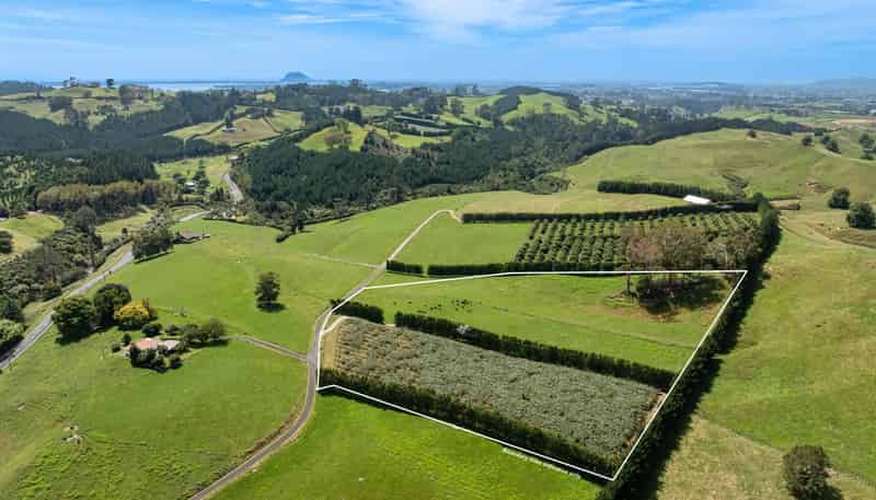 449 Crawford Road, Te Puna