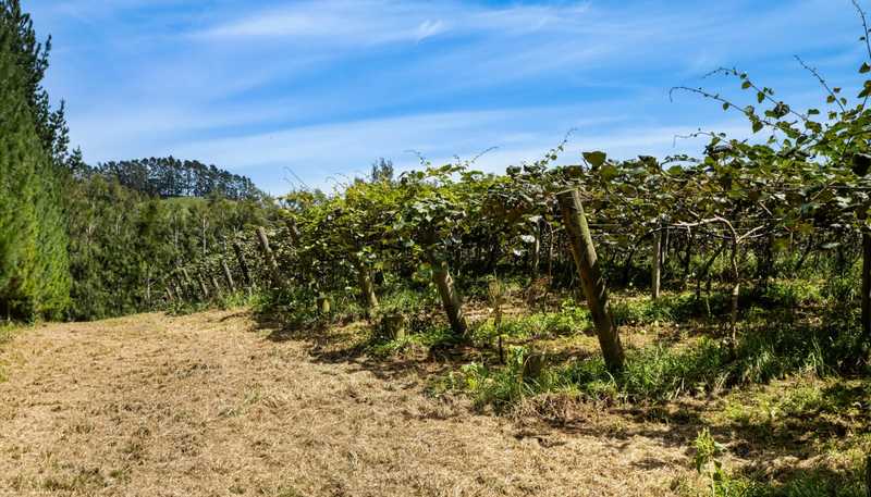 449 Crawford Road, Te Puna