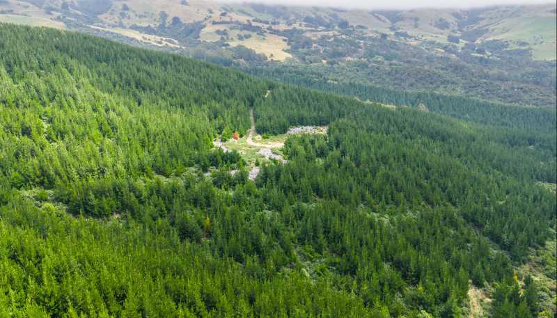 226 Middle Road, Pigeon Bay