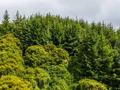 226 Middle Road, Pigeon Bay