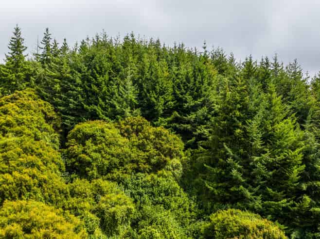 226 Middle Road, Pigeon Bay