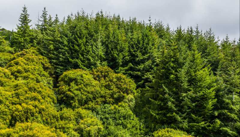226 Middle Road, Pigeon Bay