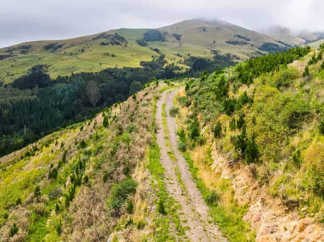 226 Middle Road, Pigeon Bay