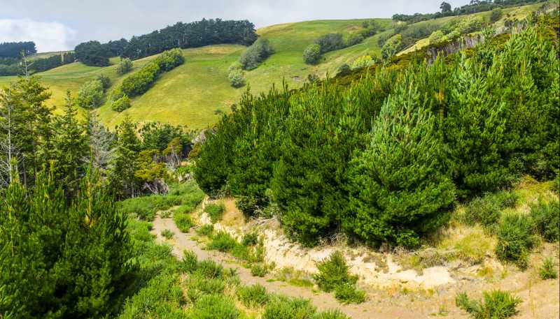 226 Middle Road, Pigeon Bay