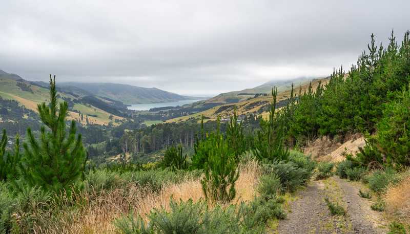 226 Middle Road, Pigeon Bay