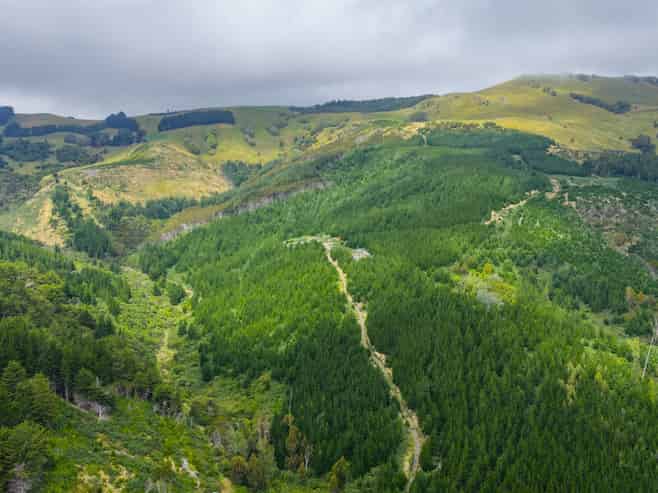 226 Middle Road, Pigeon Bay