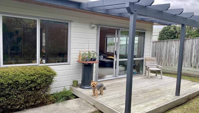 108A Tauhinu Road, Miramar