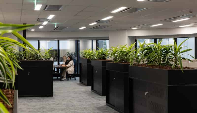 23-29 Albert Street, Auckland Central