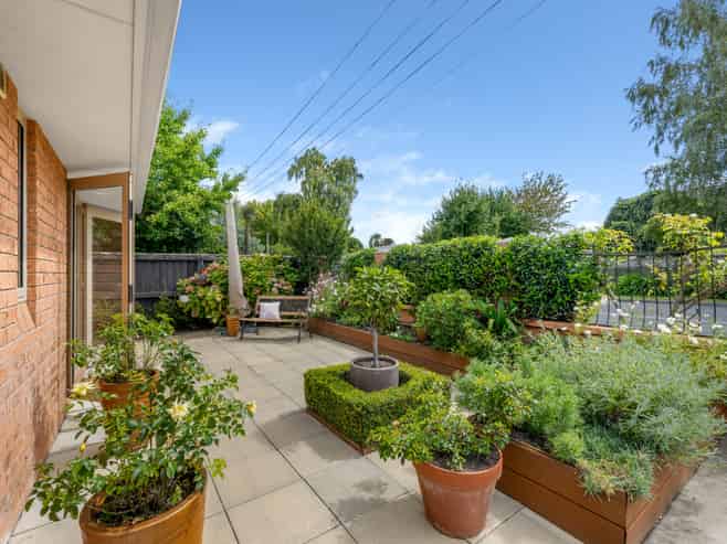 11 Ward Street, Springlands