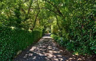 295 Fergusson Drive, Heretaunga