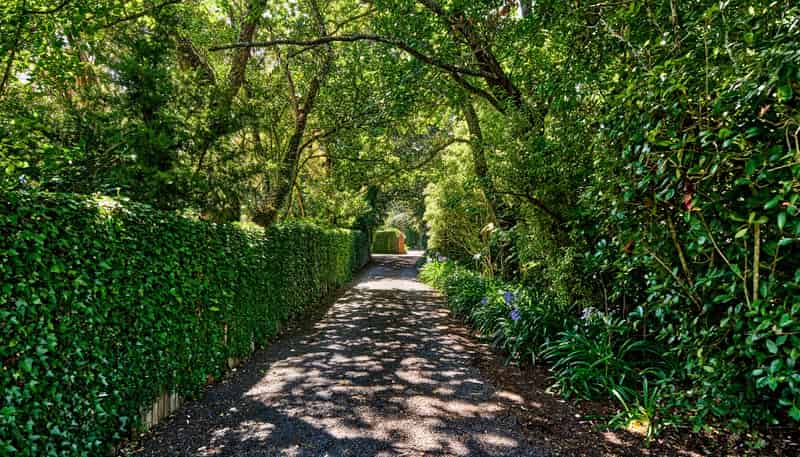 295 Fergusson Drive, Heretaunga