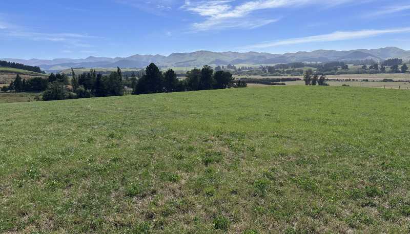 58 McElwee Road, Meadowbank, Palmerston