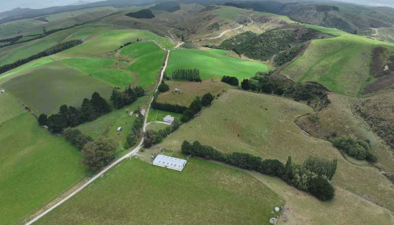 58 McElwee Road, Meadowbank, Palmerston