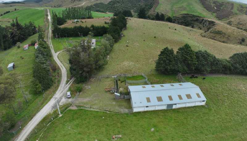 58 McElwee Road, Meadowbank, Palmerston