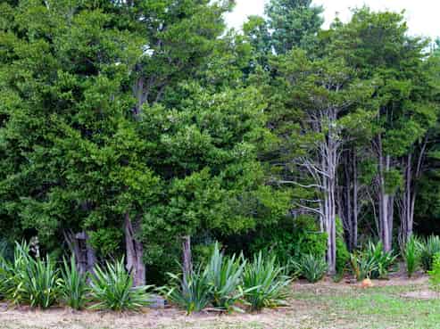 Lots 10-24 54a Redcliffs Road, Kerikeri