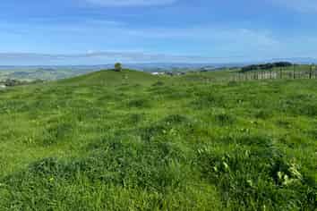 167B Tate Road, Te Kuiti