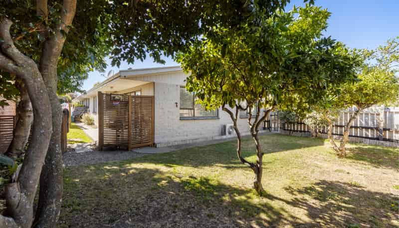 1/121 Scott Street, Blenheim