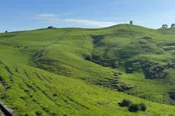 167A Tate Road, Te Kuiti