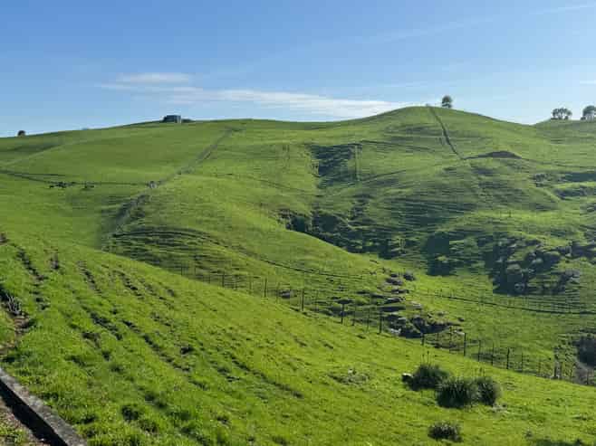 167A Tate Road, Te Kuiti