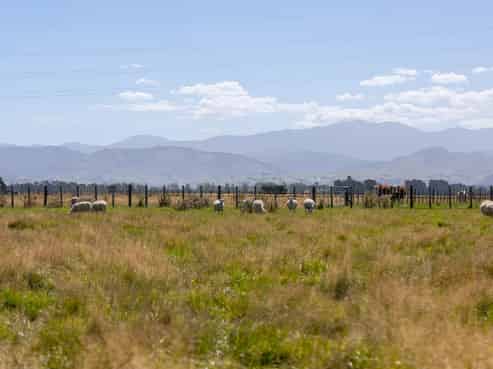 445 Perrys Road, East Taratahi