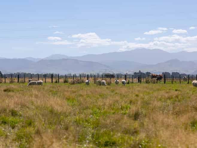 445 Perrys Road, East Taratahi