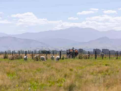 445 Perrys Road, East Taratahi