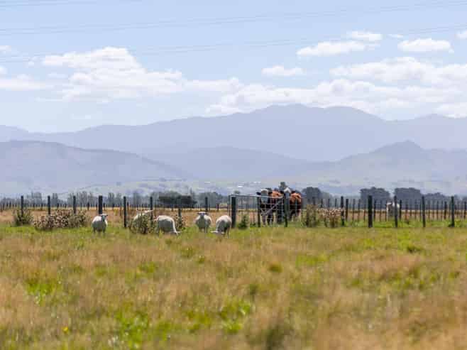 445 Perrys Road, East Taratahi