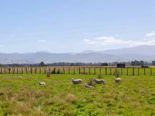 445 Perrys Road, East Taratahi