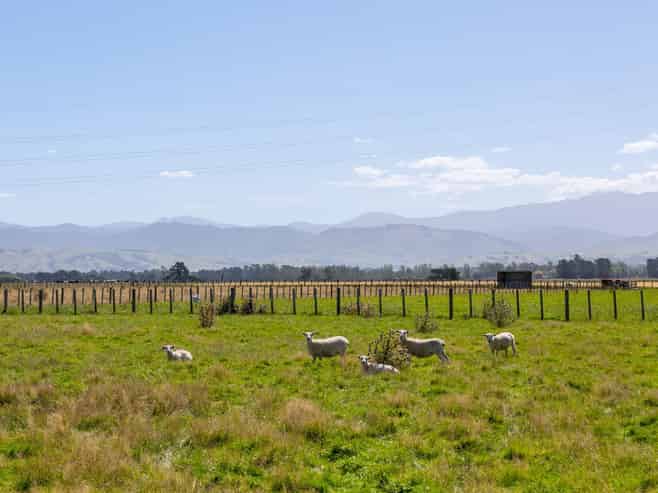 445 Perrys Road, East Taratahi