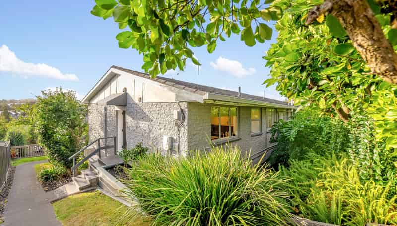 9/151 Ladies Mile, Ellerslie