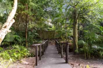 5 Titchener Street, New Lynn