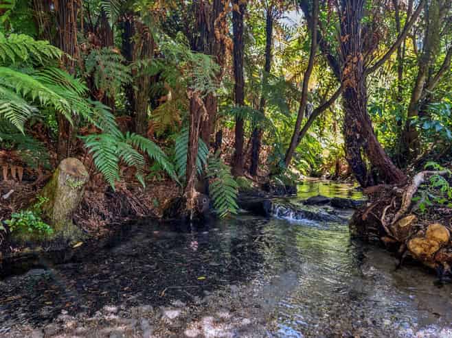 483 Spencer Road, Lake Tarawera