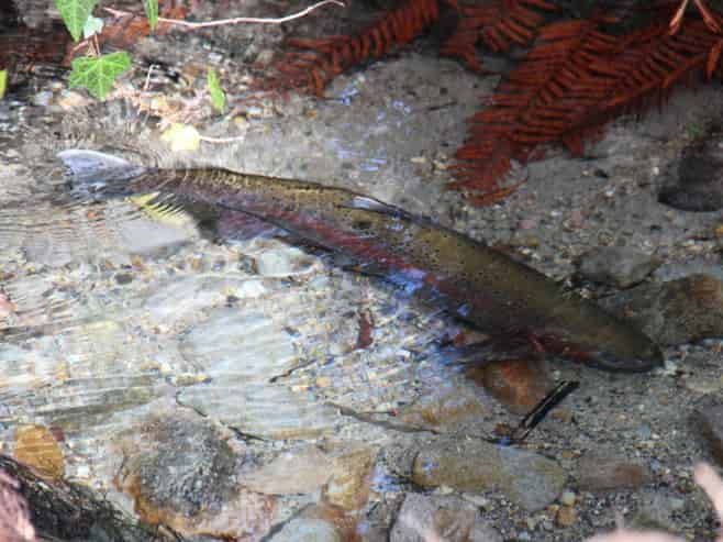 483 Spencer Road, Lake Tarawera