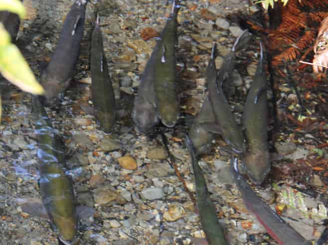 483 Spencer Road, Lake Tarawera