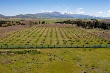 267 Springvale Road, Alexandra