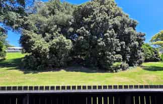 5/13 Torino Street, Panmure