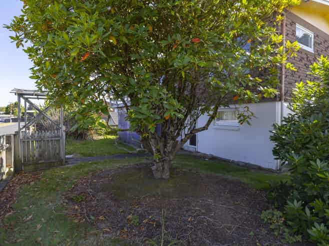 21 Duncan Street, Taupo